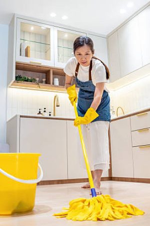 end of lease cleaning canberra end of lease cleaning canberra